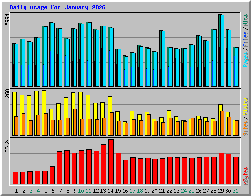 Daily usage for January 2026