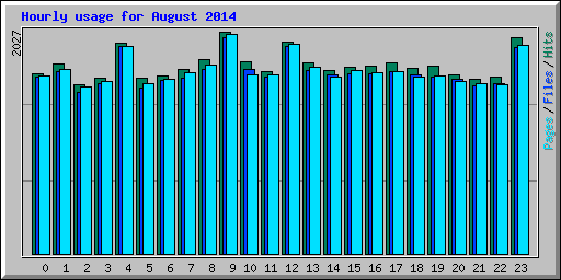 Hourly usage for August 2014