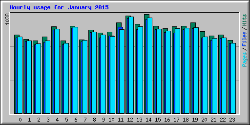 Hourly usage for January 2015