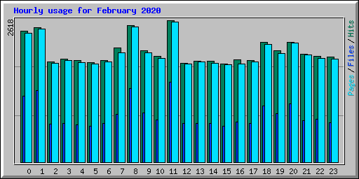 Hourly usage for February 2020