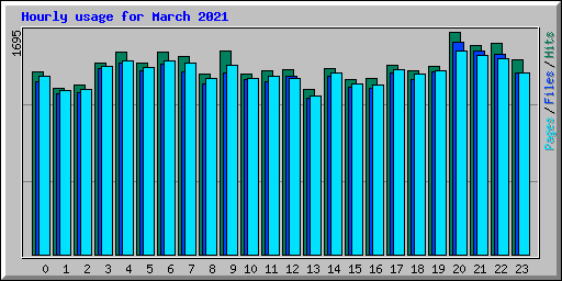Hourly usage for March 2021