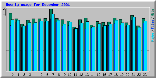 Hourly usage for December 2021