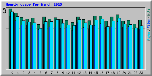 Hourly usage for March 2025
