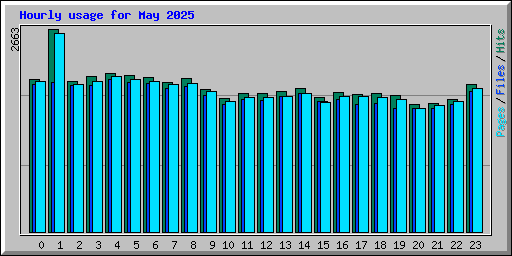 Hourly usage for May 2025