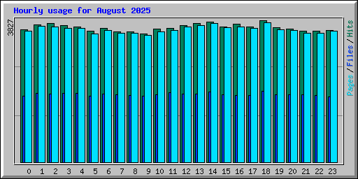 Hourly usage for August 2025