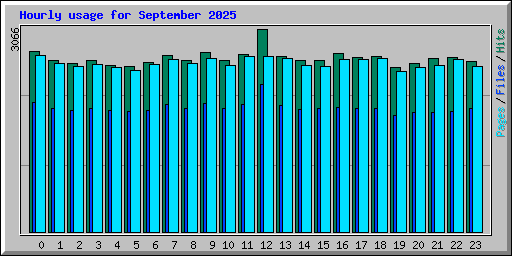 Hourly usage for September 2025