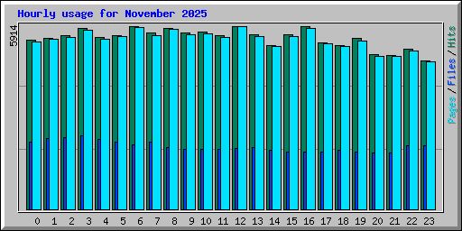 Hourly usage for November 2025