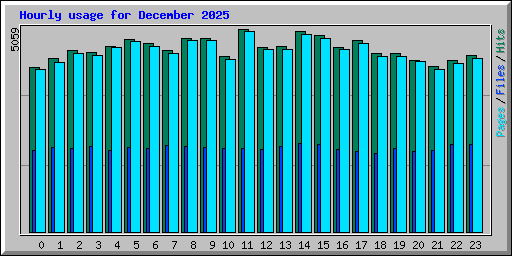 Hourly usage for December 2025