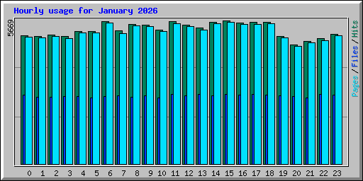 Hourly usage for January 2026