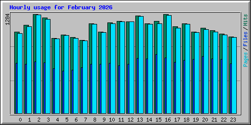 Hourly usage for February 2026