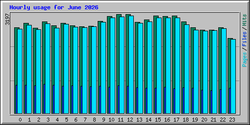 Hourly usage for June 2026